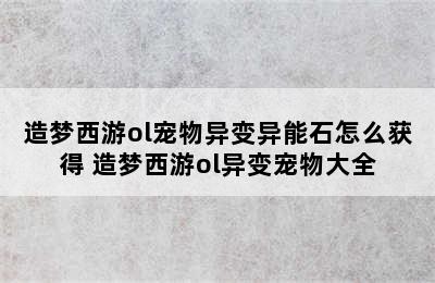 造梦西游ol宠物异变异能石怎么获得 造梦西游ol异变宠物大全